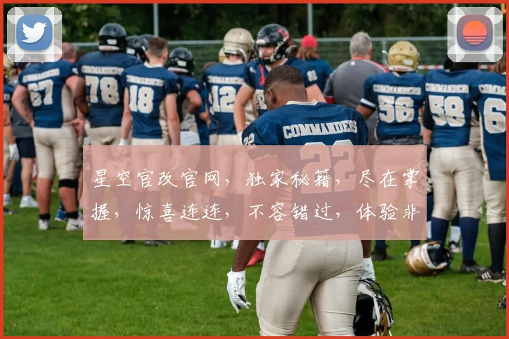 星空官改官网，独家秘籍，尽在掌握，惊喜连连，不容错过，体验非凡