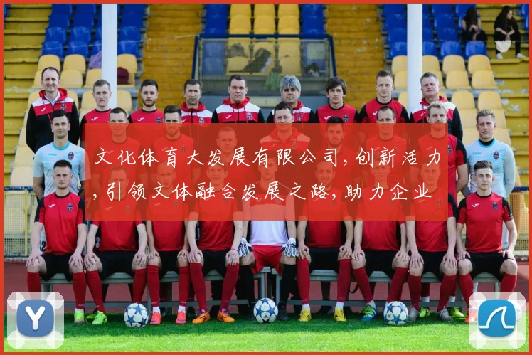 文化体育大发展有限公司,创新活力,引领文体融合发展之路,助力企业腾飞