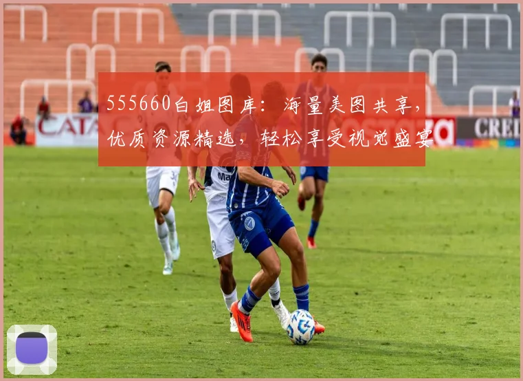 555660白姐图库：海量美图共享，优质资源精选，轻松享受视觉盛宴，尽在掌握