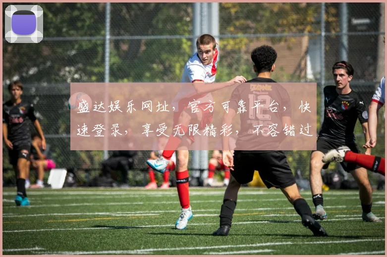 盛达娱乐网址，官方可靠平台，快速登录，享受无限精彩，不容错过