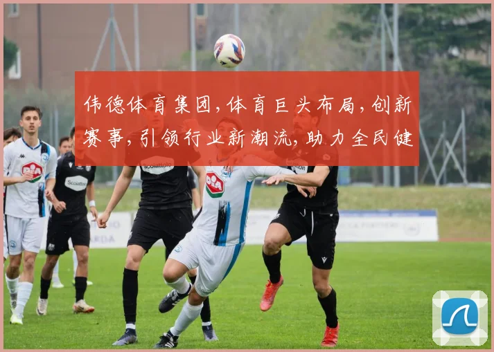 伟德体育集团,体育巨头布局,创新赛事,引领行业新潮流,助力全民健身,共筑体育强国梦