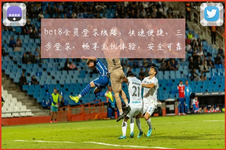 bet8会员登录线路，快速便捷，三步登录，畅享无忧体验，安全可靠，必看攻略